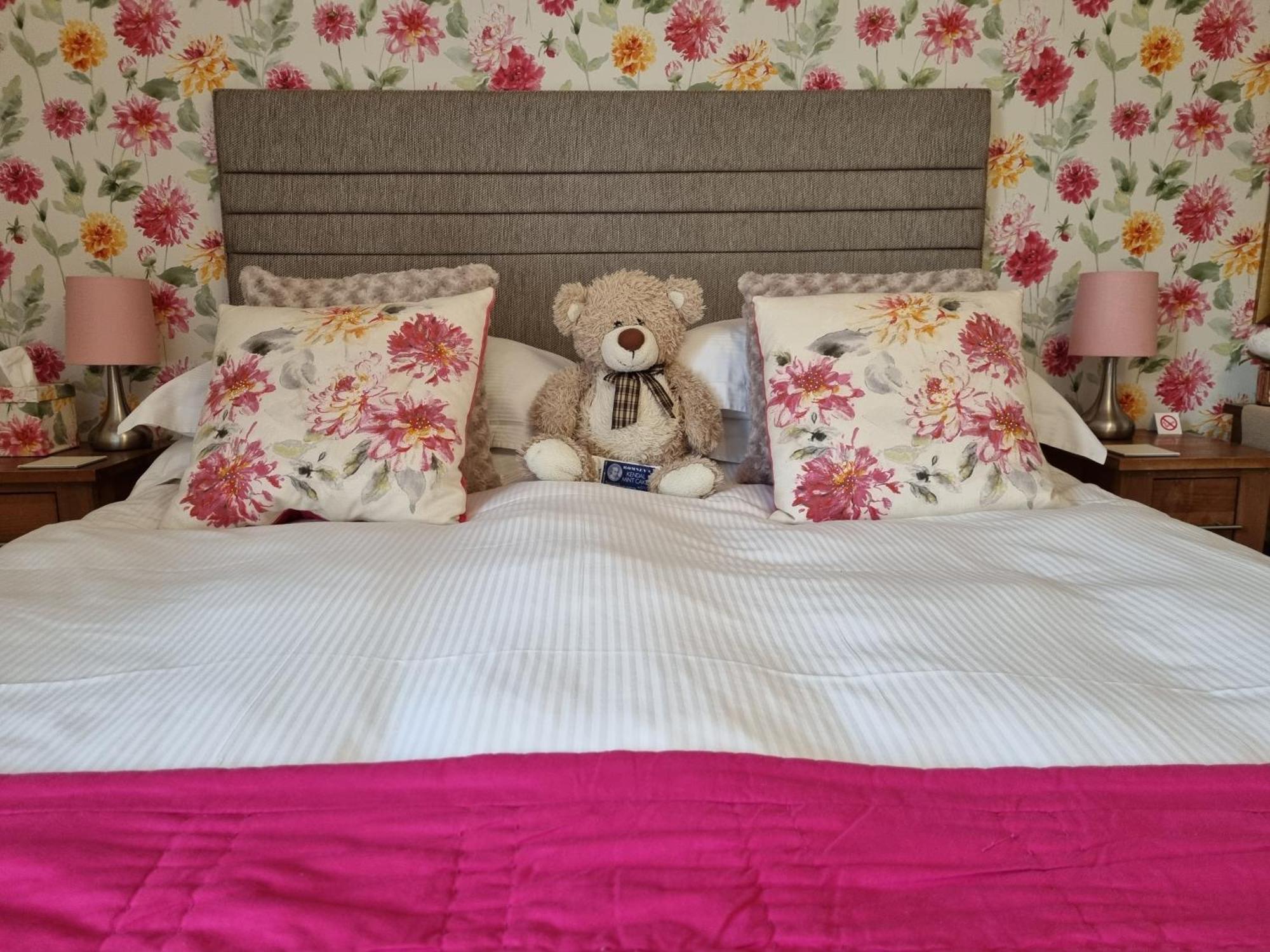 Montfort Cottage Guest House ويندرمير الغرفة الصورة